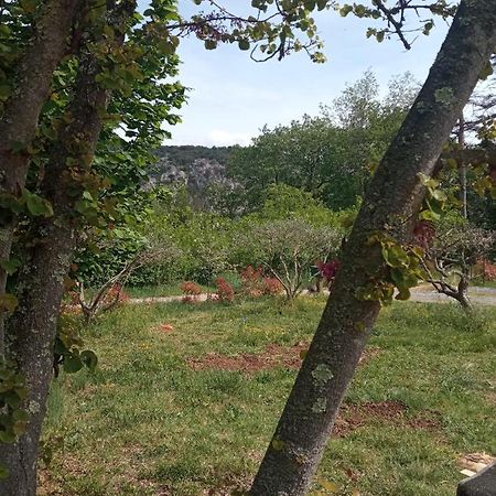 Les Cypres Villa Lagorce  Ngoại thất bức ảnh